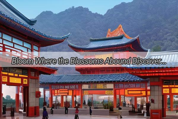 Bloom Where the Blossoms Abound Discover the City Where Flowers Reign Supreme in China